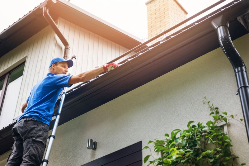 Gutter Cleaning Preparation